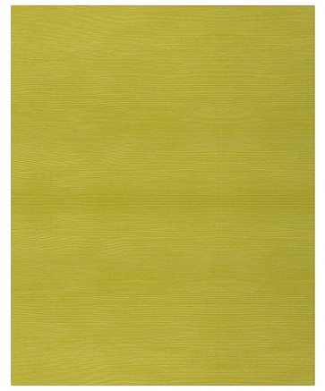 Front Kassel M01 - Künstlerische Gestaltung - Dekor: Lemongrün 109