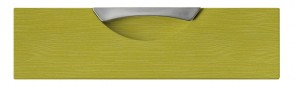 Blende Siera M31 - Dekor: Ribbon Lemongrün WF81