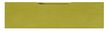 Blende Modern F25 - Dekor: Ribbon Lemongrün WF81