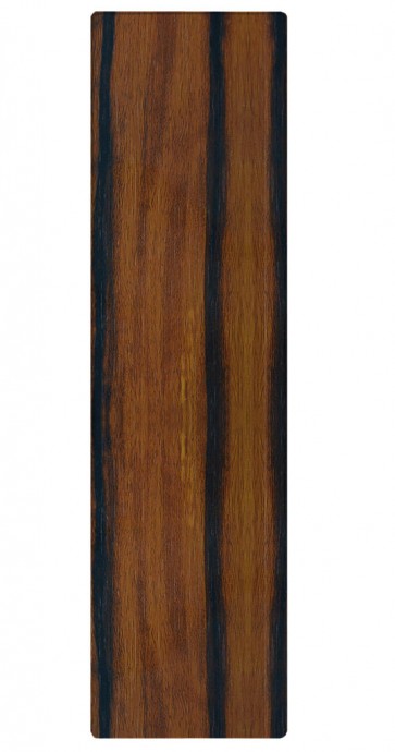 Passblende Modern F25 - Dekor: Ebenholz matt WF31