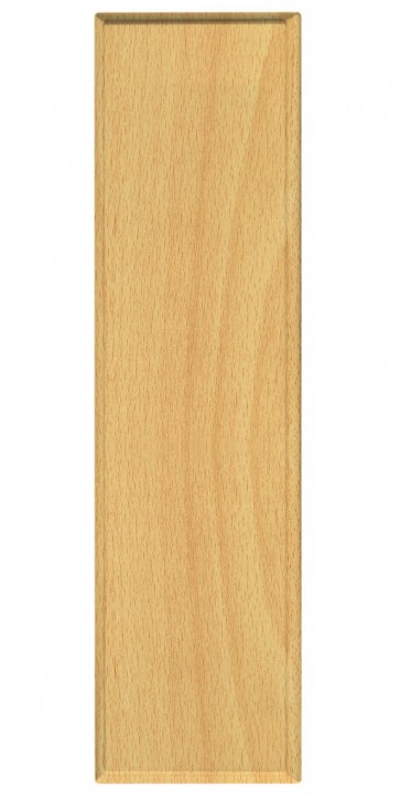 Passblende Passau M47 - Dekor: Buche hell F22