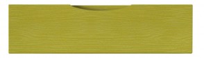 Blende Linea F26 - Dekor: Ribbon Lemongrün WF81