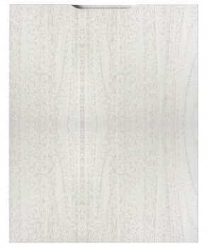 Front Modern F25 - Dekor: Nussbaum weiss WF318