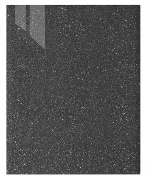 Front Genf M79 - HGL metallic schwarz W253