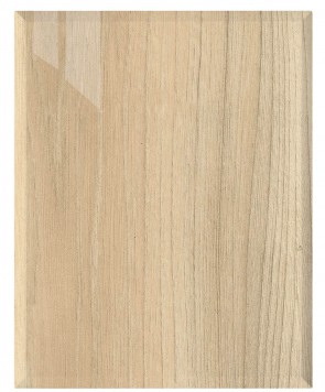Front Genf M79 - HGL Ulme gebleicht W254