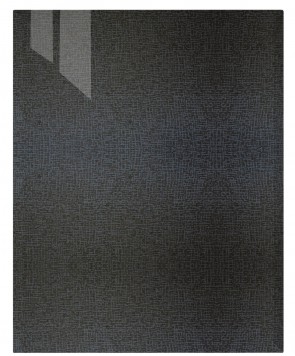 Front Genf M79 - HGL Matrix schwarz W194