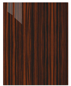 Front Genf M79 - HGL Palisander FW160