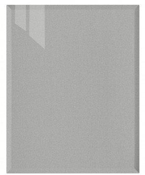 Front Genf M79 - HGL Silber metallic W117
