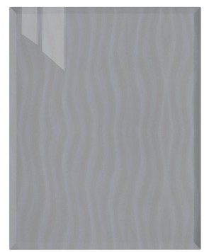 Front Genf M79 - HGL Stream silber W211