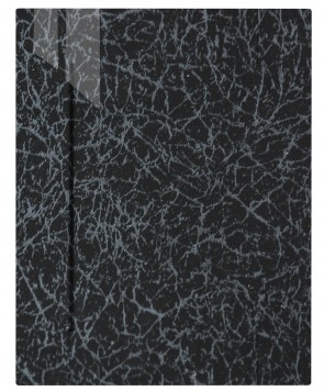 Front Lugano R81 - HGL marmoriert schwarz W250