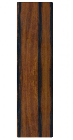 Passblende Siera M31 - Dekor: Ebenholz matt WF31