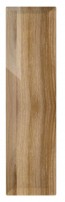 Passblende Genf M79 - HGL Nussbaum W154